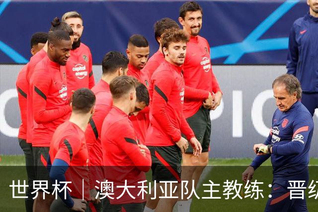 世界杯｜澳大利亚队主教练：晋级淘汰赛是我们应得的